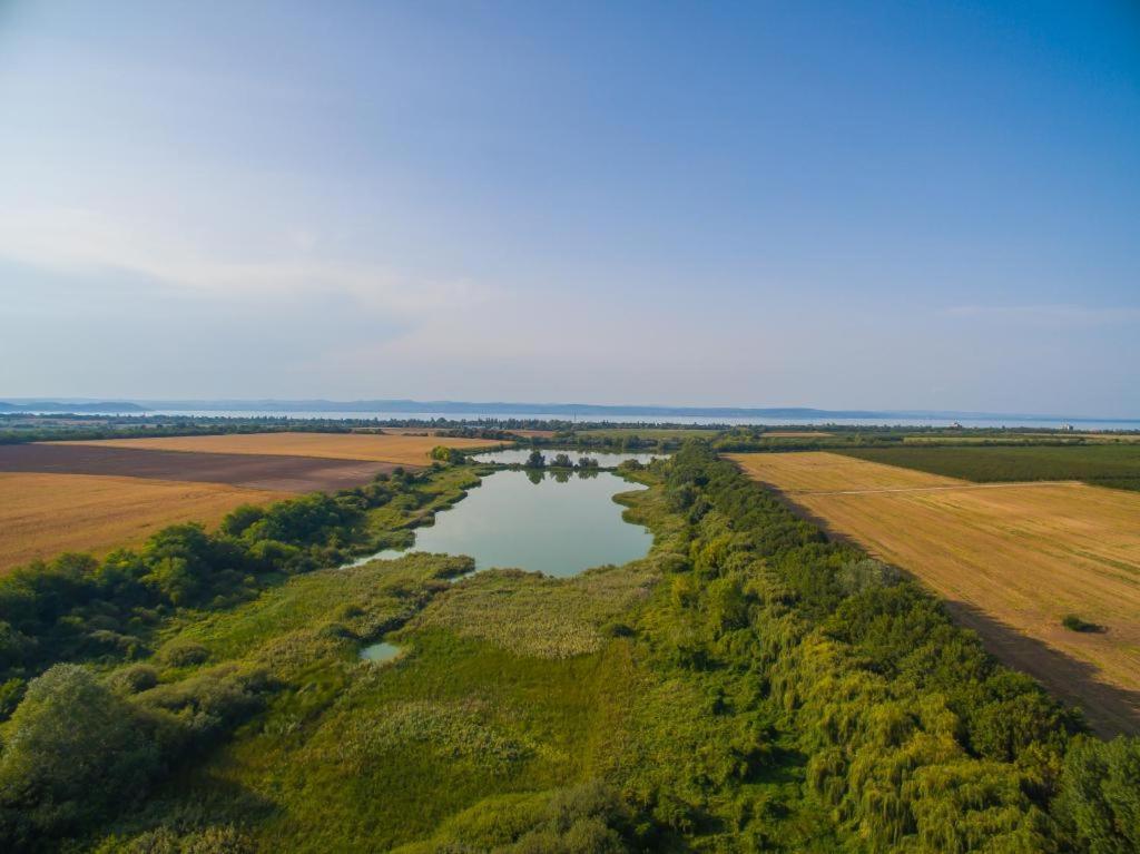 Töreki 34 Vendégház Siófok Exterior foto