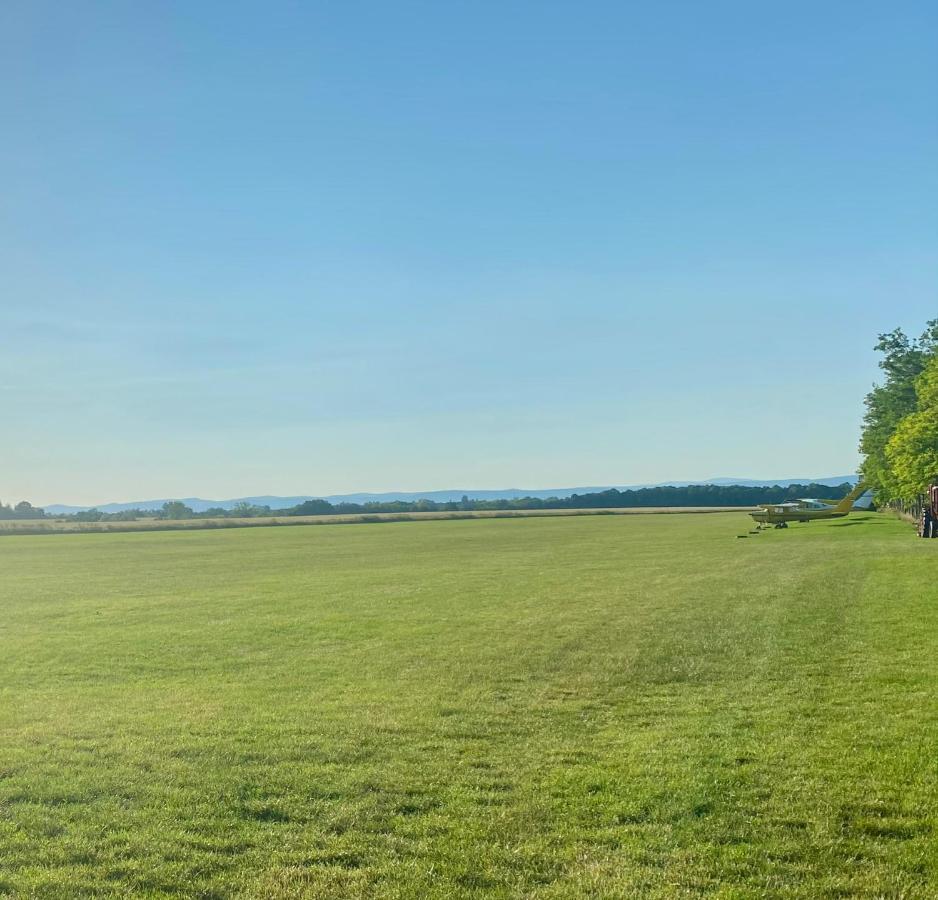 Töreki 34 Vendégház Siófok Exterior foto