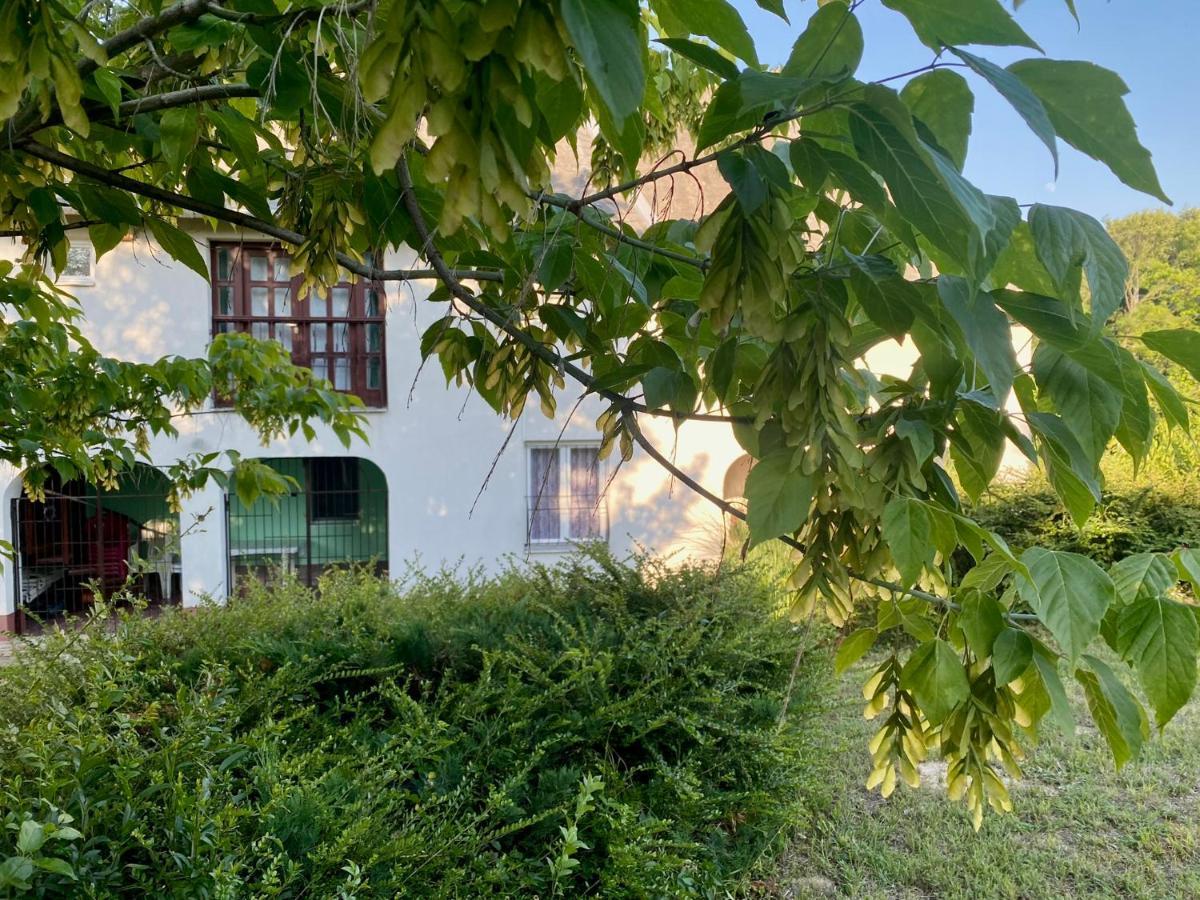 Töreki 34 Vendégház Siófok Exterior foto